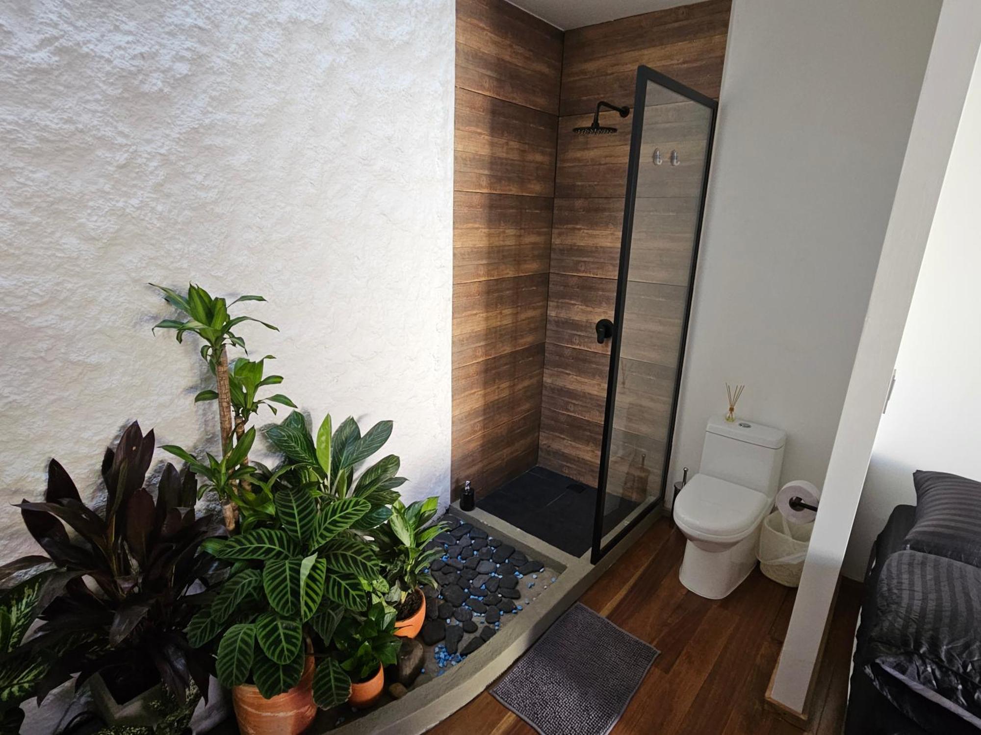 Casa Alba Hotel Cali Eksteriør billede